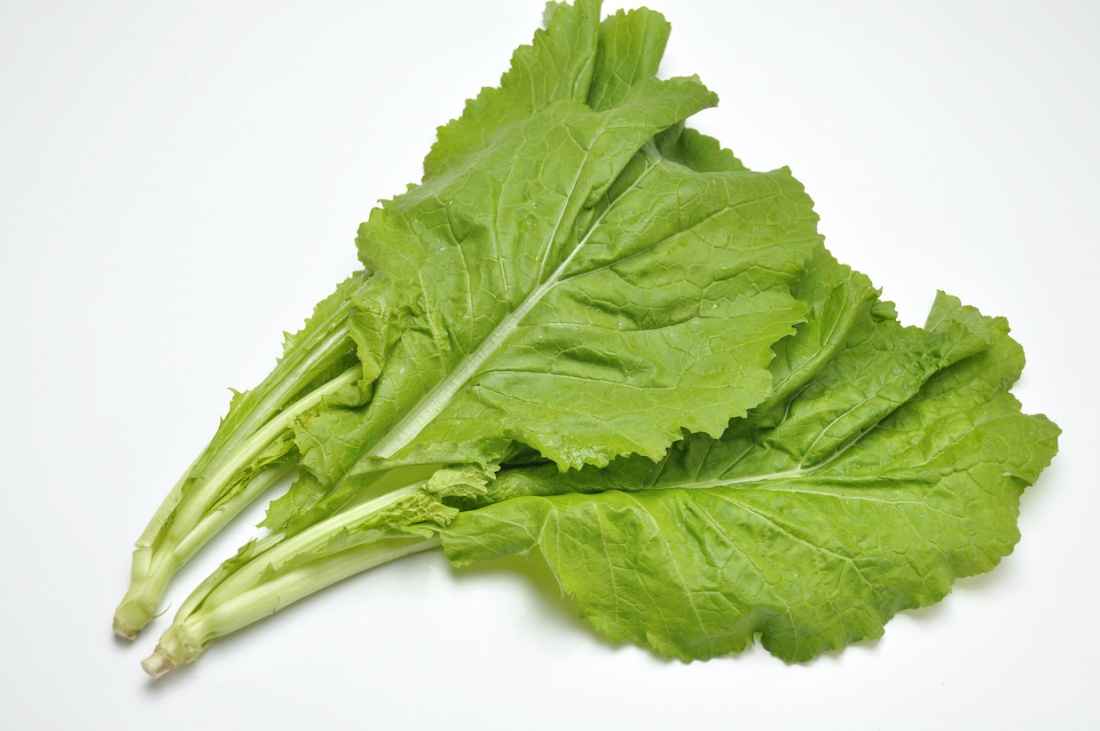 からし菜（カラシナ）