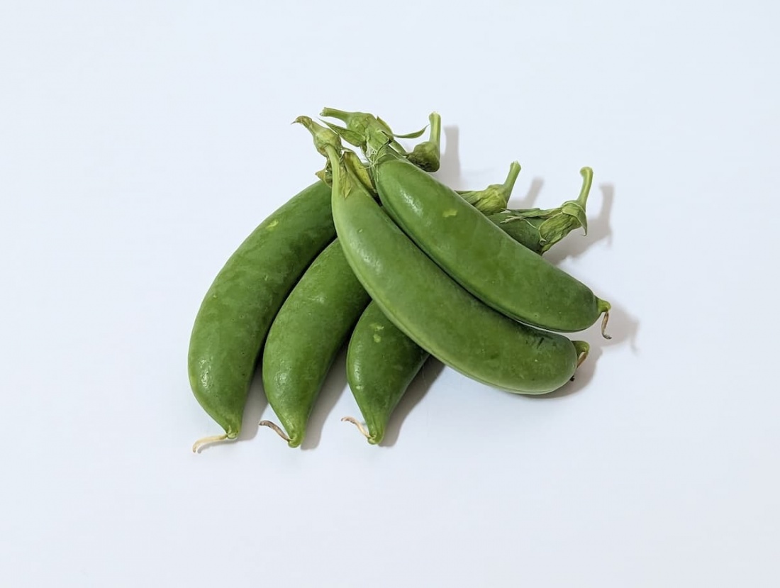 スナップエンドウ