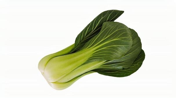 チンゲンサイ(青梗菜)