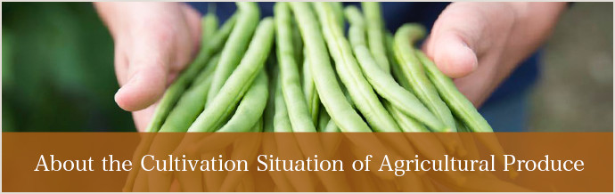 About the Cultivation Situation of Agricultural Produce