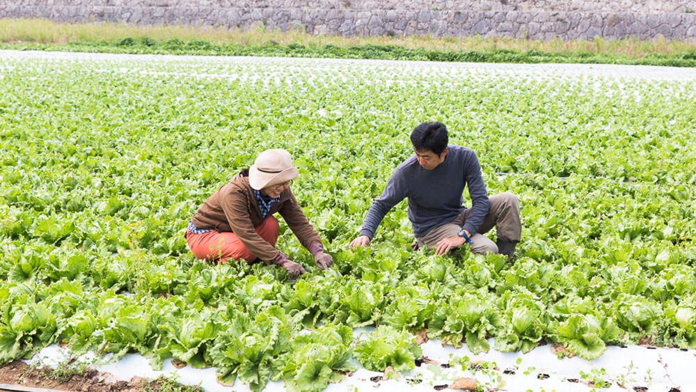 Admittance of new agricultural trainees